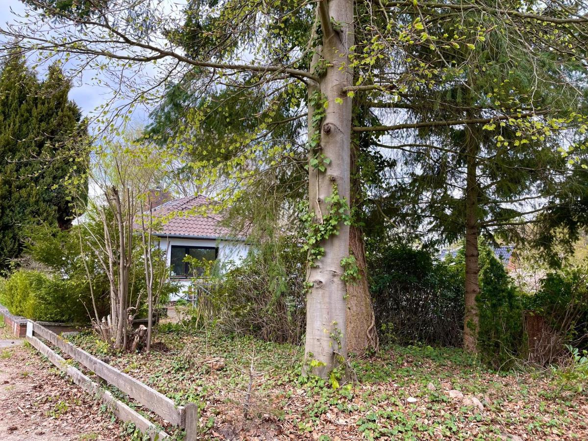 Ferienwohnung Hitzacker/Elbe エクステリア 写真