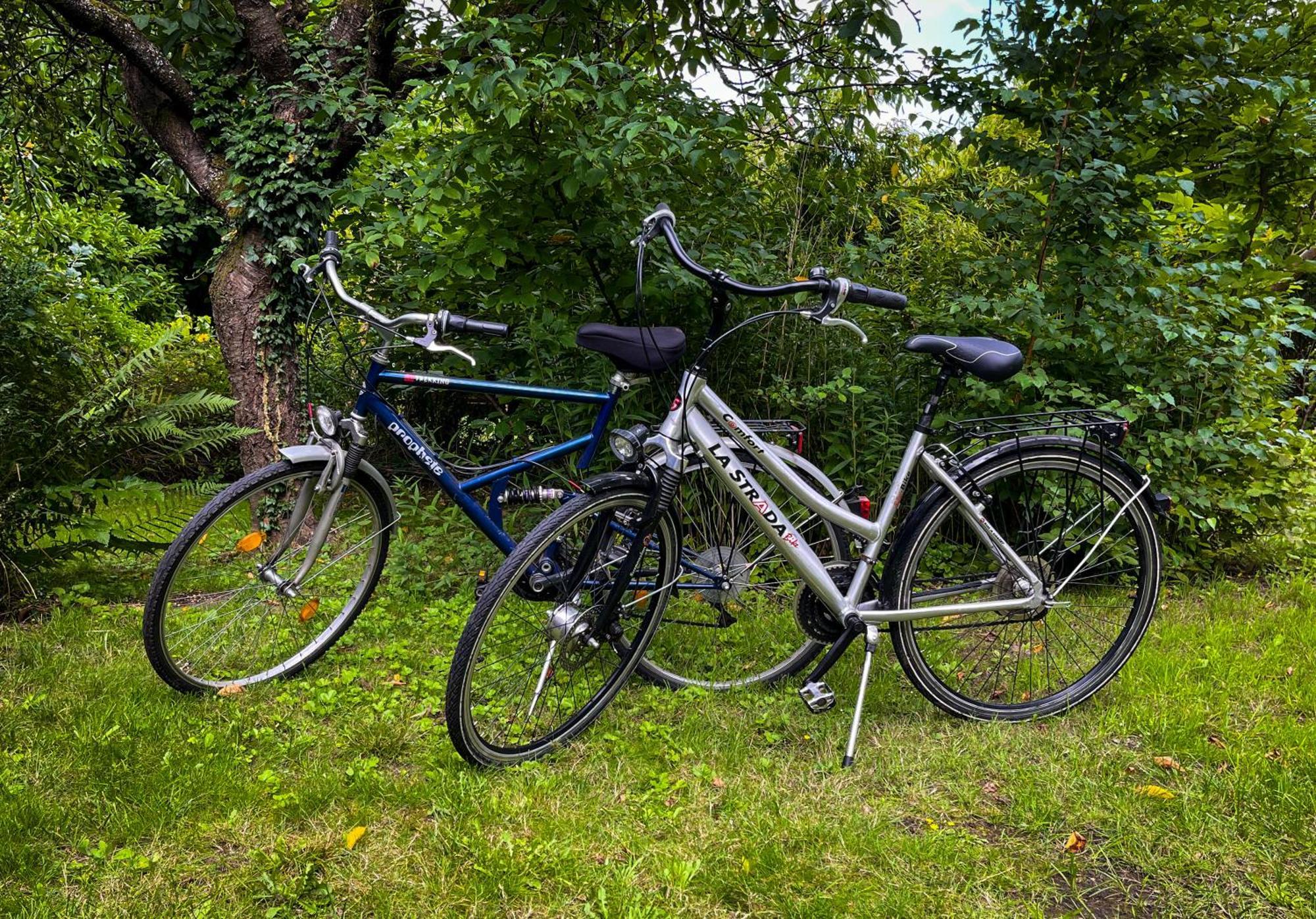 Ferienwohnung Hitzacker/Elbe エクステリア 写真
