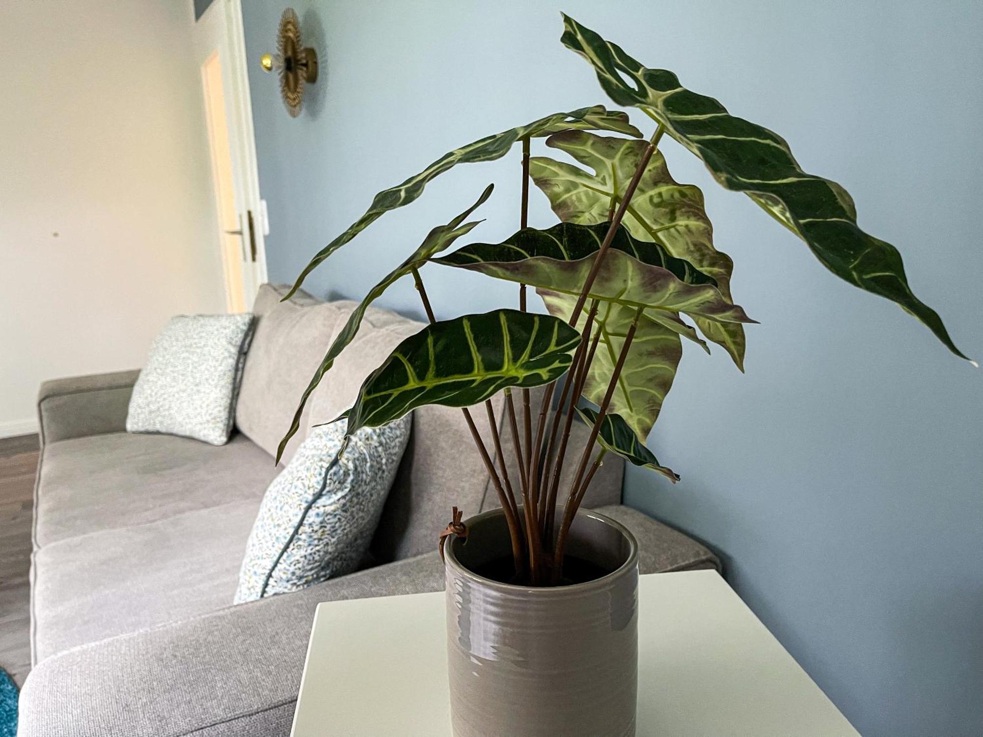 Ferienwohnung Hitzacker/Elbe エクステリア 写真